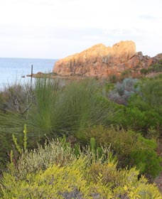 Meelup Trail - Accommodation Sunshine Coast 0