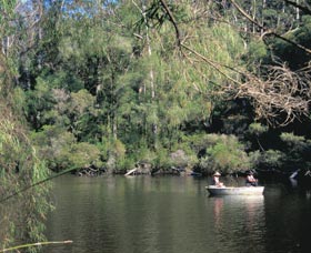 Warren National Park - Accommodation Sunshine Coast 0