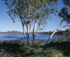 Celebrity Tree Park - Accommodation Sunshine Coast 0