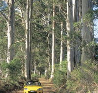 Mount Shadforth Scenic Drive - Accommodation Sunshine Coast