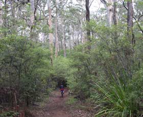 Margaret River Rails Trail - Accommodation Sunshine Coast 0