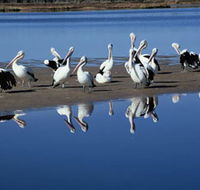 Peel Region Canoe Trails - Accommodation Sunshine Coast