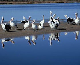 Peel Region Canoe Trails - Accommodation Sunshine Coast 0