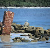 Whalers Beach - Accommodation Sunshine Coast