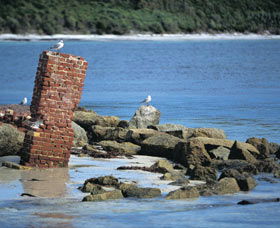 Whalers Beach - Accommodation Sunshine Coast 0