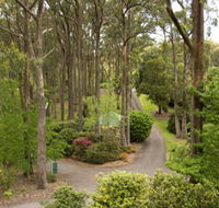 Mount Lofty Botanic Garden - Accommodation Sunshine Coast