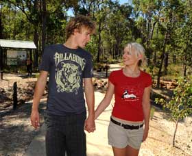Crooked Brook Forest - Accommodation Sunshine Coast 0