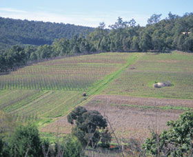 Darling Range - Accommodation Sunshine Coast 0
