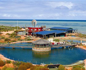 Ocean Park Aquarium - Accommodation Sunshine Coast 0