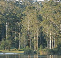 Big Brook Dam - Accommodation Sunshine Coast