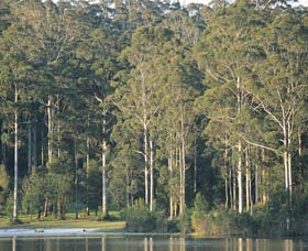 Big Brook Dam - Accommodation Sunshine Coast 0
