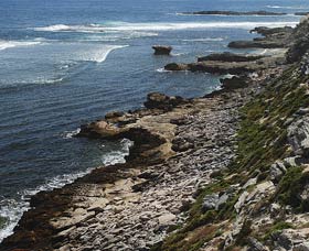 Cape Vlamingh - Accommodation Sunshine Coast 0