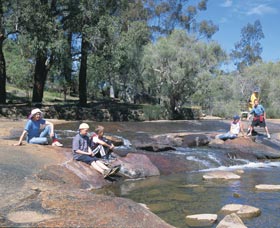 John Forrest National Park - Accommodation Sunshine Coast 0
