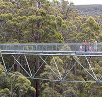 Walpole Wilderness Discovery Centre - Accommodation Sunshine Coast