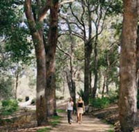 Law Trail and Lotterywest Federation Walkway Kings Park - Accommodation Sunshine Coast