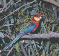 King River - Accommodation Sunshine Coast
