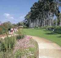 Kings Park Free Guided Walks - Accommodation Sunshine Coast