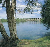 Bandicoot Bar - Accommodation Sunshine Coast