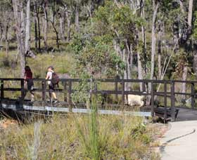 Forest Path, Crooked Brook - Accommodation Sunshine Coast 0