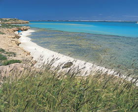 Paradise Beach - Accommodation Sunshine Coast 0