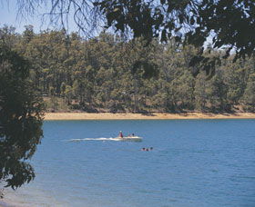 Logue Brook Dam - Accommodation Sunshine Coast 0