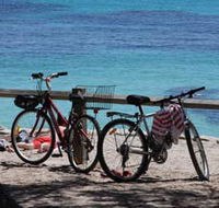 Parker Point Marine Snorkel Trail - Accommodation Sunshine Coast
