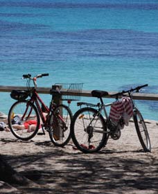 Parker Point Marine Snorkel Trail - Accommodation Sunshine Coast 0