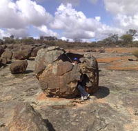 Gathercole Nature Reserve - Accommodation Sunshine Coast