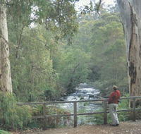 Cascades - Accommodation Sunshine Coast
