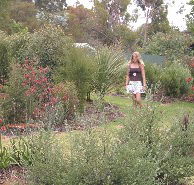 The Mythic Mazes - Accommodation Sunshine Coast