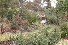 The Mythic Mazes - Accommodation Sunshine Coast 0