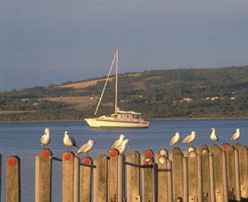 Oyster Harbour - Accommodation Sunshine Coast 0
