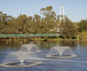 Suspension Bridge - Accommodation Sunshine Coast 0