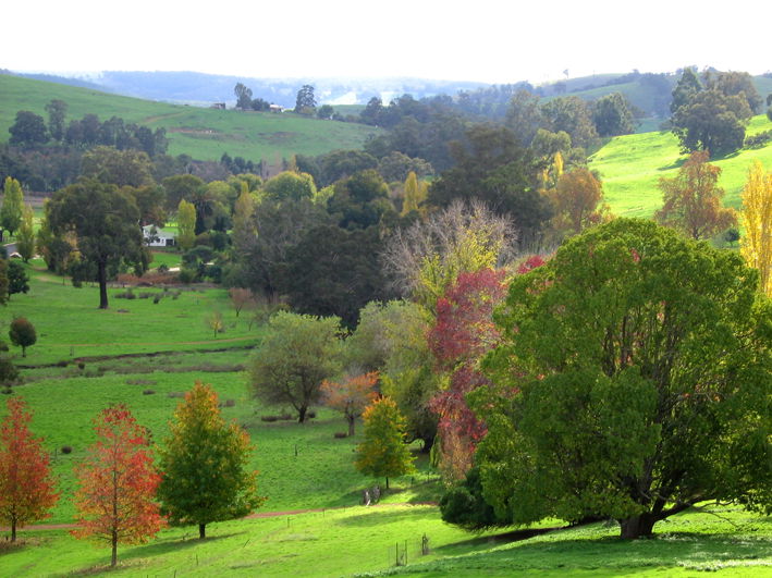  Accommodation Sunshine Coast