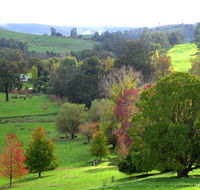 Golden Valley Tree Park - Accommodation Sunshine Coast