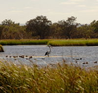 Anytime Adventures in Mandurah  the Peel Region - Accommodation Sunshine Coast