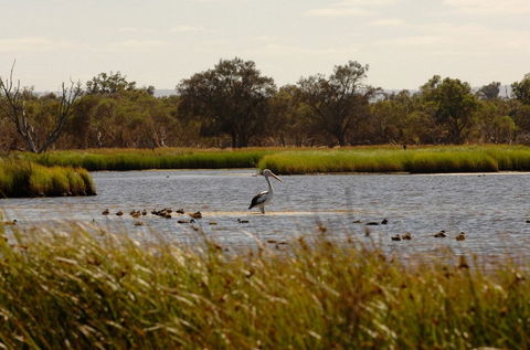 Anytime Adventures In Mandurah & The Peel Region - Accommodation Sunshine Coast 0
