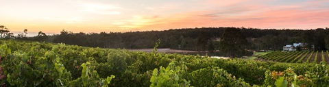 Aravina Estate - Accommodation Sunshine Coast 0