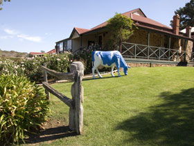 Longview Vineyard - Accommodation Sunshine Coast 0