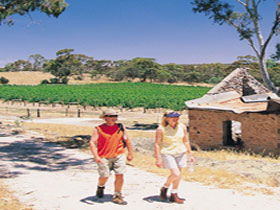 Inchiquin Lake - Accommodation Sunshine Coast 0