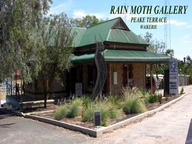 Rain Moth Gallery - Accommodation Sunshine Coast 0