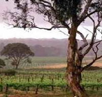 Yangarra Estate Vineyard - Accommodation Sunshine Coast
