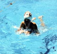 Mount Gambier Aquatic Centre - Accommodation Sunshine Coast