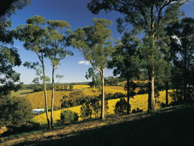 Lobethal SA Accommodation Sunshine Coast