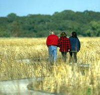 Onkaparinga River Recreation Park - Accommodation Sunshine Coast