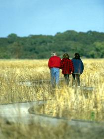 Onkaparinga River Recreation Park - Accommodation Sunshine Coast 0