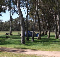 Black Cockatoo Bush Camp - Accommodation Sunshine Coast