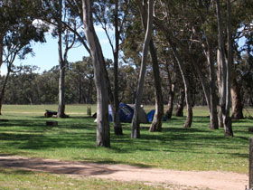Black Cockatoo Bush Camp - Accommodation Sunshine Coast 0