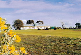 Lucindale Country Club - Accommodation Sunshine Coast 0