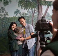 Cleland Wildlife Park - Accommodation Sunshine Coast